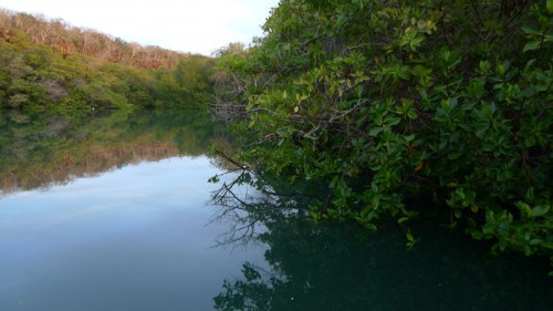 lagunalasninas